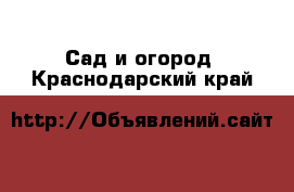  Сад и огород. Краснодарский край